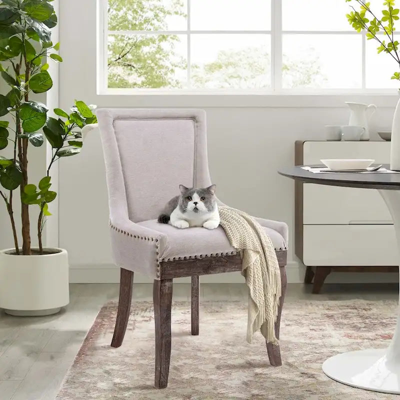 Ensemble de 4 chaises de salle à manger traditionnelles à oreilles, capitonnées et ultra-revêtues